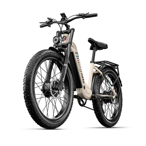 Dual motor 2000w bike 26 - 2000w, e-bike