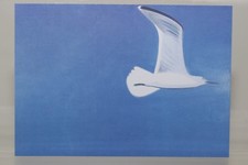 ALEX KATZ: SEAGULL II, 1989
