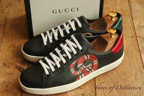 Gucci ace kingsnake schwarz - kingsnake,