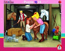 Schmidt-Spiele 56795