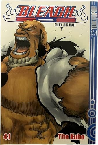 Bleach herz buch tokyopop - bleach, 41: