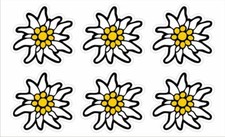 Edelweiss stück alpen - edelweiss, 6
