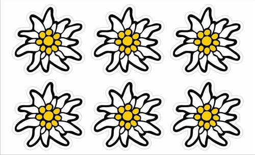 Edelweiss stück alpen - edelweiss, 6