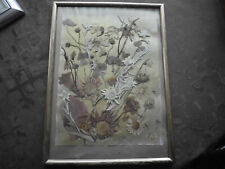 Bild Trocken gepresste Gräser Blüten Edelweiß Veilchen Kleeblatt 29,5 x 21,5 cm