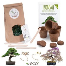 Bonsai starter kit anzuchtset - bonsai,