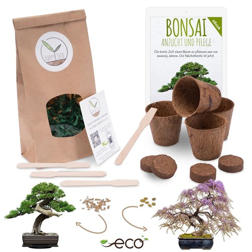 Bonsai starter kit anzuchtset - starter,