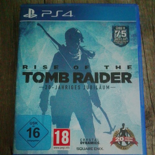 Rise the tomb raider - rise,