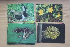 Sammelbilder Serie Penny