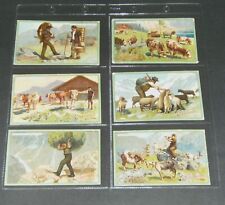 6 Palmin-Sammelbilder komplette Serie Nr. 68 ,,Leben in den Alpen" guter Zust.