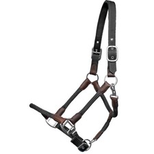 Euroriding Halfter Charmes