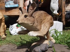 Hase rennend Kaninchen Deko