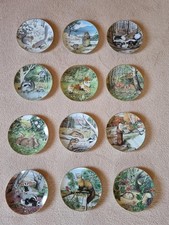 The Woodland Year 1981