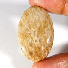 Indonesien VERSTEINER Palmenachat ovale Form NATUR lose Edelsteine 38x25x05...