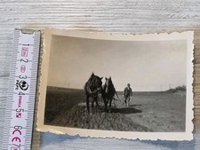 Foto artern - ,