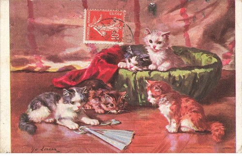 Katzen mk43606 cinqs - cinqs,