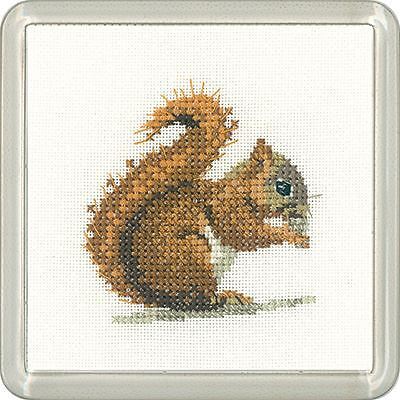 Rotes eichhörnchen little - rotes,
