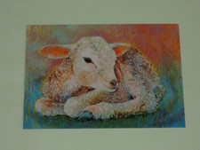 1x Postkarten Lamm  Loes