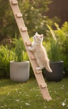 Katzenleiter Douglasie Outdoor