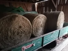 Heu Rundballen Durchmesser 1,2m,  2. Schnitt  Jahr 2022, trocken gelagert ,
