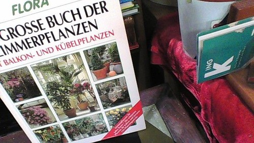 Flora das grosse buch der - buch,