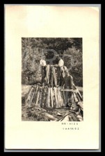 Foto, WK2, Inf.Div.268/Art.Rgt.268, Holztrupp beim Holz Stapeln; L100L XT