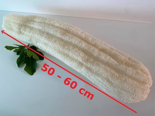 Luffa loofah luffagurke - loofah,,
