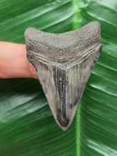 5,4 cm dunkler gemusterter