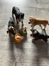 Hunde Welpen Konvolut Set