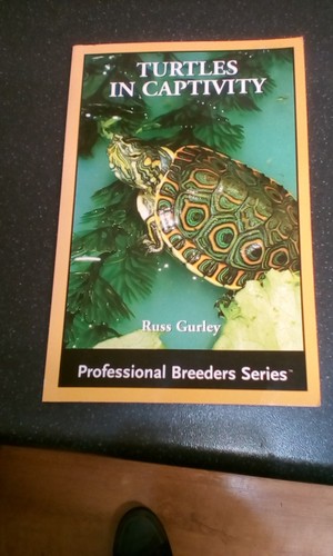 Turtles captivity russ - in,