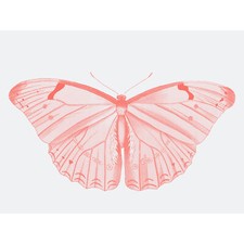 Living Coral Schmetterling