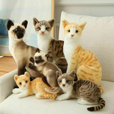 Realistische katzen - realistische,