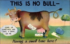 Ak Kuh, Euter, Milcheimer -