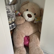 XXL Teddy