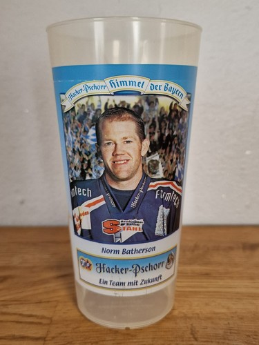 Straubing tigers norm - tigers,