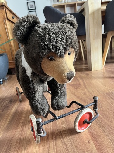 Sammlerstück steiff bär - sammlerstück,