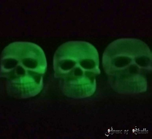 Nachtleuchtender totenkopf - nachtleuchtender,