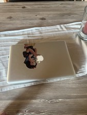 Apple MacBook Pro 13,3“