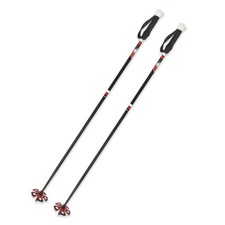 F2 SKI Stöcke Ski Pole -