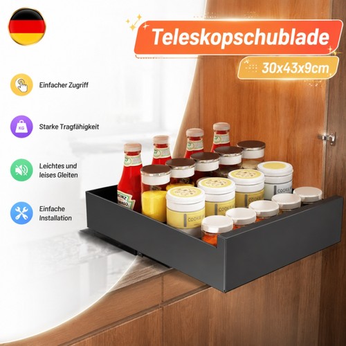 Schrankauszug