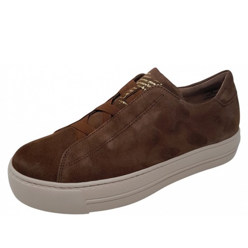 Paul green sneaker braun - paul,