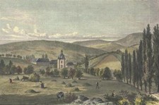 OESTRICH-WINKEL - Ansicht -