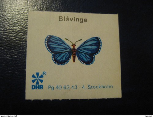 Blavinge stockholm butterfly - blavinge,