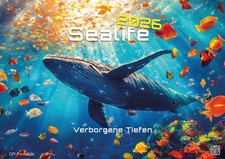 Sealife - verborgene Tiefen - 2026 - Kalender DIN A3 - GRATIS VERSAND