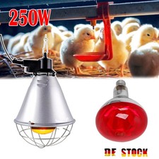 Infrarotlampe Wärmelampe