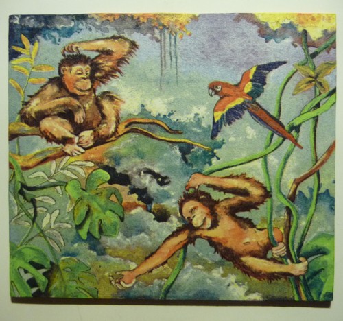 Deko hdf tiere orang - hdf,