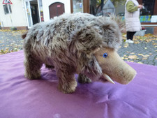 Steiff Wildschwein 2670/20, frühe 1960er, unbespielter Zustand