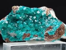 Dioptas, Kaokovields, Omaue, Namibia