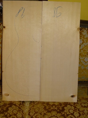 Tonholz tonewood legname - tonholz,, tonewood,