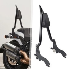 Abnehmbare sissy bar - abnehmbare,