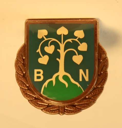 Ehrennadel des bund - des,